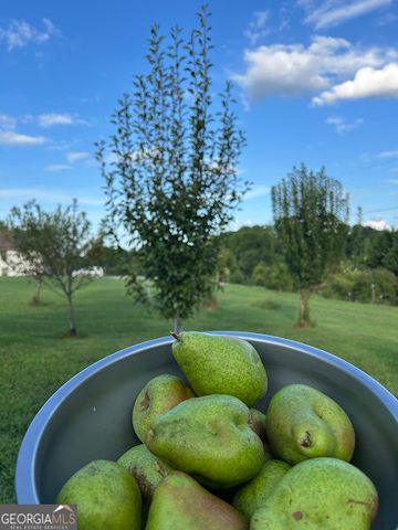 2838 Skitts Mountain Road, Cleveland, GA 30528