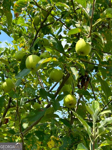 2838 Skitts Mountain Road, Cleveland, GA 30528