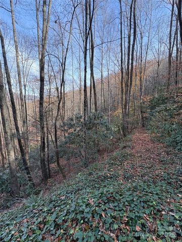 TR 6 Little Bit Trail, Whittier, NC 28789
