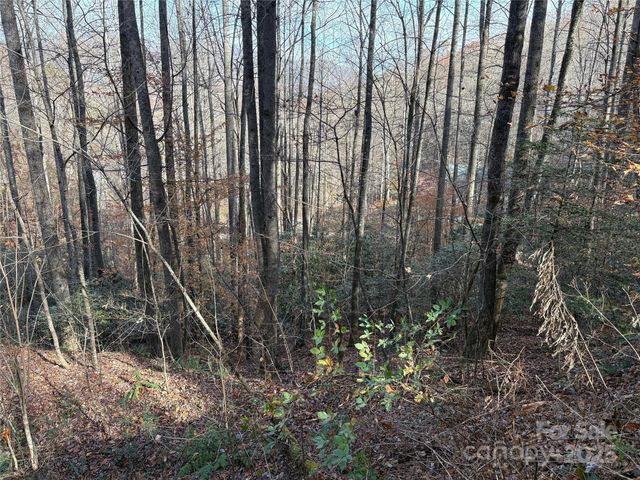 TR 6 Little Bit Trail, Whittier, NC 28789