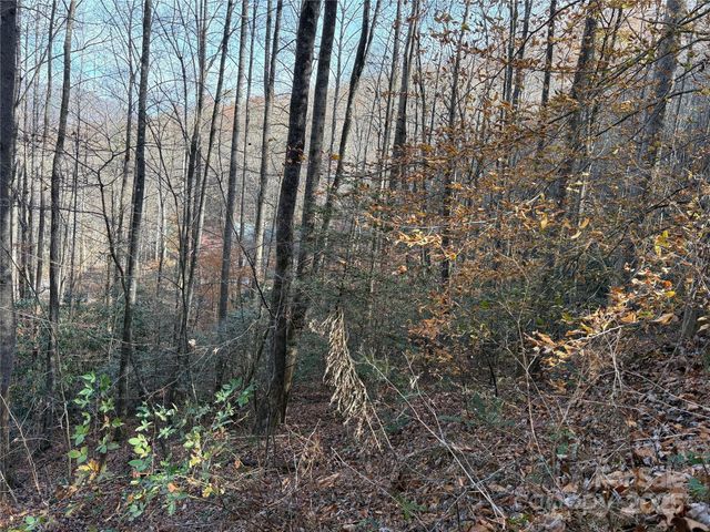 TR 6 Little Bit Trail, Whittier, NC 28789