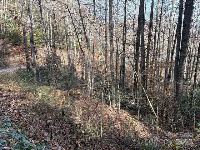 TR 6 Little Bit Trail, Whittier, NC 28789