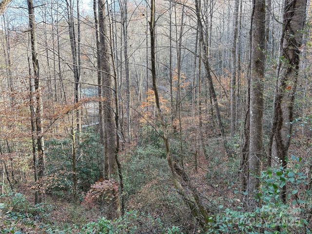 TR 6 Little Bit Trail, Whittier, NC 28789