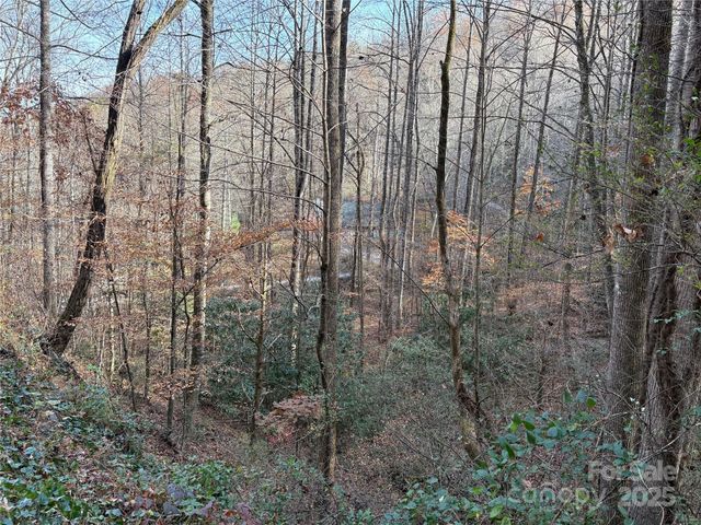 TR 6 Little Bit Trail, Whittier, NC 28789