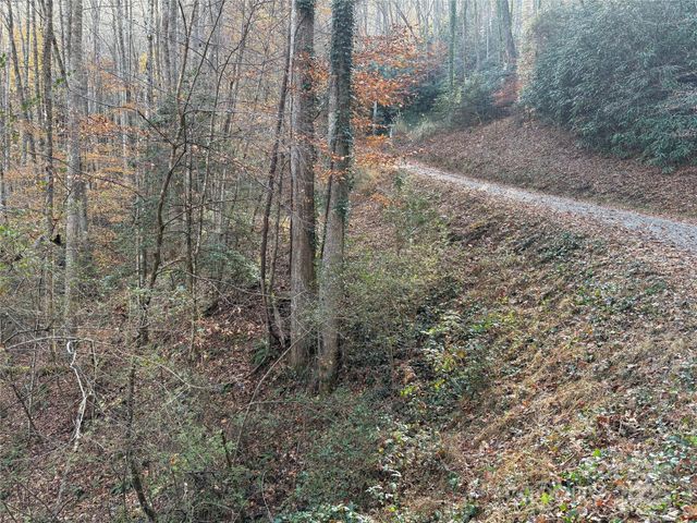 TR 6 Little Bit Trail, Whittier, NC 28789