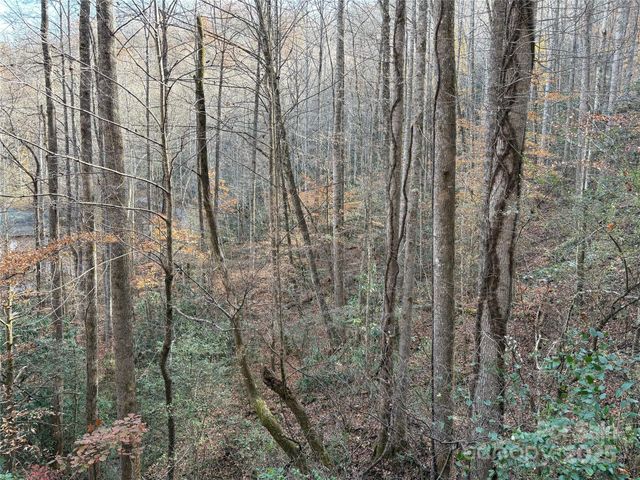 TR 6 Little Bit Trail, Whittier, NC 28789