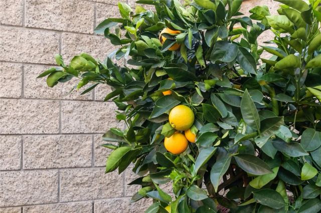 30230 De Portola Road, Temecula, CA 92592