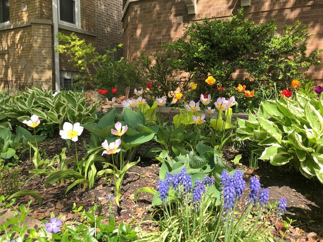 5747 N Sacramento Avenue, Chicago, IL 60659