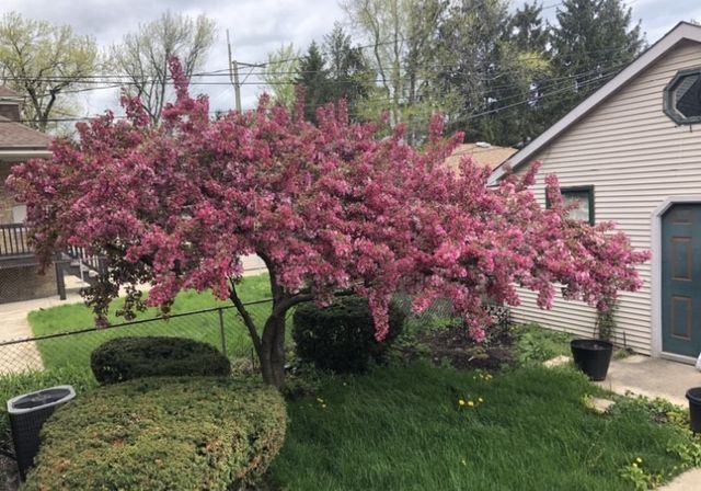 5747 N Sacramento Avenue, Chicago, IL 60659