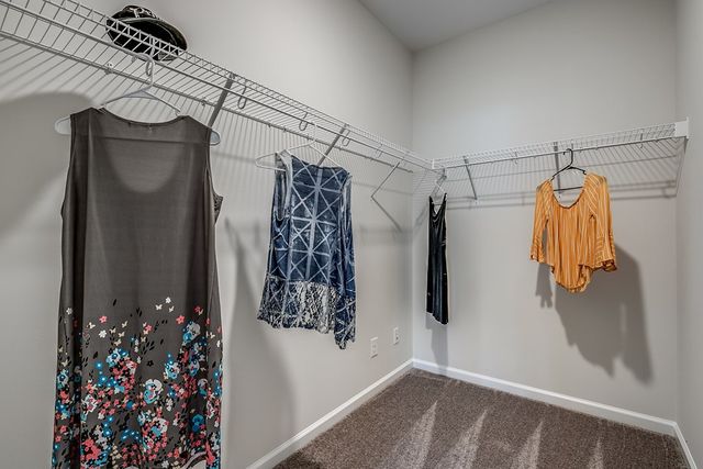 1915 Deercreek Drive, Manning, SC 29102