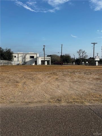 2923 Sunflower N Drive, Donna, TX 78537