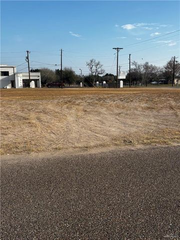 2923 Sunflower N Drive, Donna, TX 78537