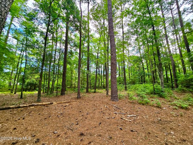 51 Sunfield Drive, Carolina Shores, NC 28467