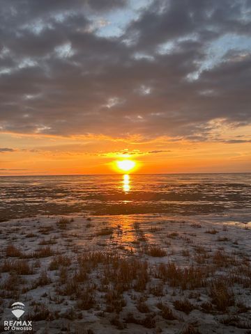 5816 Avalon Road, Pinconning Twp, MI 48650