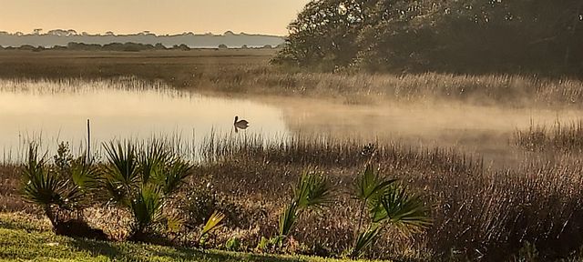 31 Aledo Ct, St Augustine, FL 32086