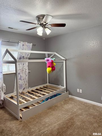 2407 Selmaville Road, Salem, IL 62881