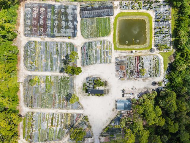 14650 Okeechobee Boulevard, Loxahatchee Groves, FL 33470