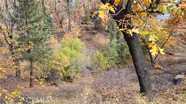 1000 Butte Avenue, Big Bear City, CA 92314