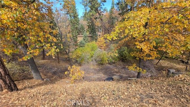 1000 Butte Avenue, Big Bear City, CA 92314