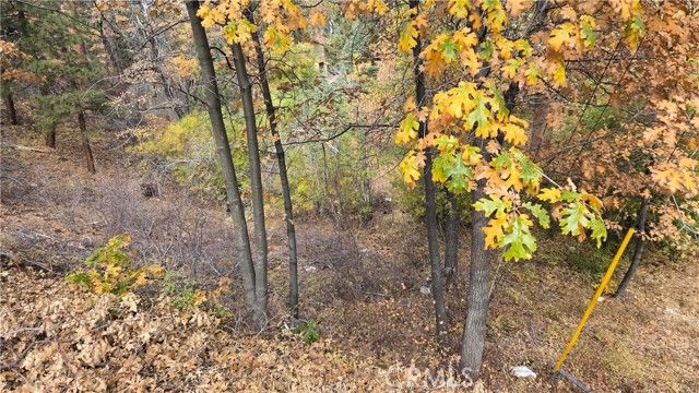 1000 Butte Avenue, Big Bear City, CA 92314