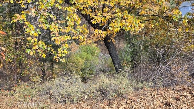 1000 Butte Avenue, Big Bear City, CA 92314