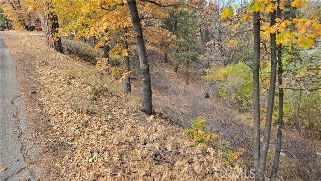 1000 Butte Avenue, Big Bear City, CA 92314