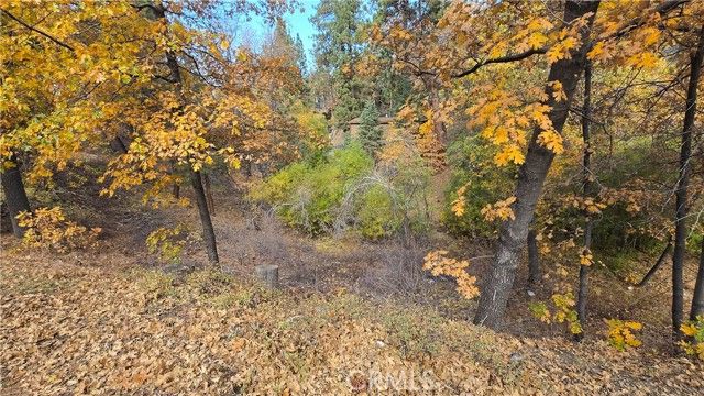 1000 Butte Avenue, Big Bear City, CA 92314