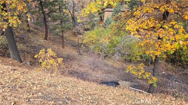 1000 Butte Avenue, Big Bear City, CA 92314