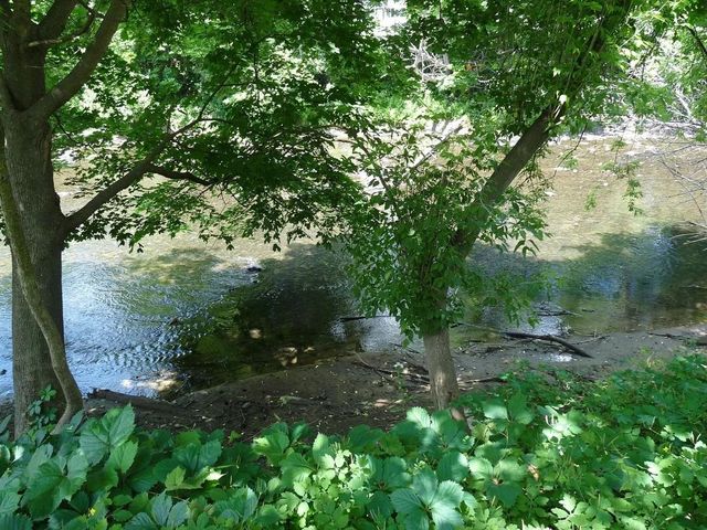 13 Franklin St Apt 3, Montpelier, VT 05602