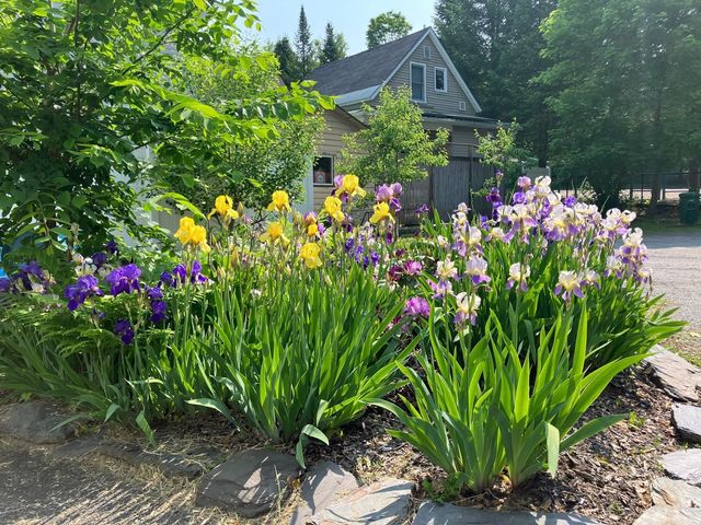 13 Franklin St Apt 3, Montpelier, VT 05602