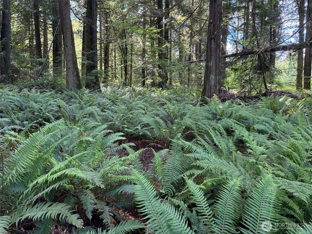 1108 Connors Rd, Snohomish, WA 98290