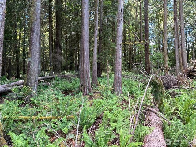 1108 Connors Rd, Snohomish, WA 98290