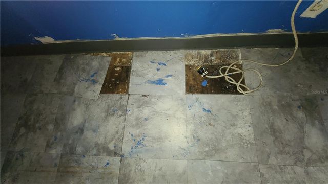 1674 MAGNOLIA LANE, Kissimmee, FL 34746