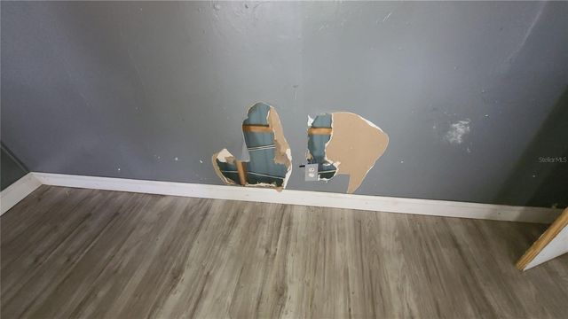 1674 MAGNOLIA LANE, Kissimmee, FL 34746