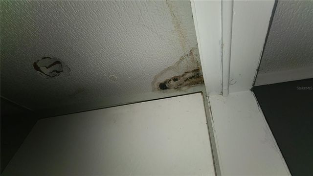 1674 MAGNOLIA LANE, Kissimmee, FL 34746