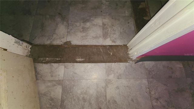 1674 MAGNOLIA LANE, Kissimmee, FL 34746