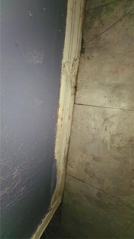 1674 MAGNOLIA LANE, Kissimmee, FL 34746