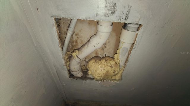 1674 MAGNOLIA LANE, Kissimmee, FL 34746