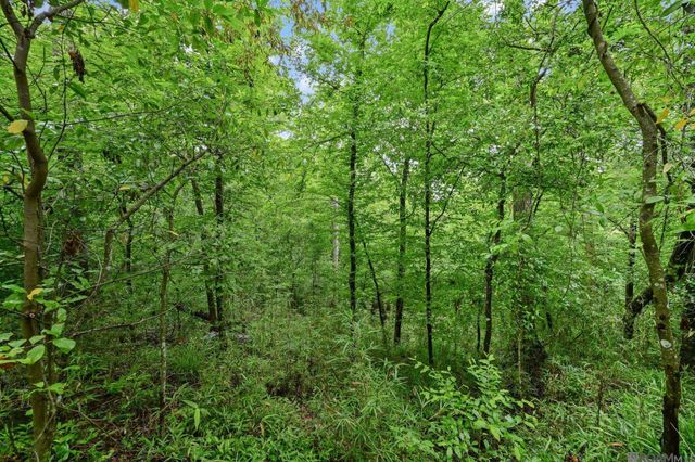 10393 Old Field Rd, St Francisville, LA 70775