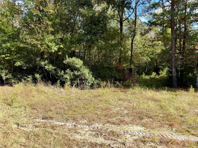 198 Bear Track Trail, Livingston, TX 77351