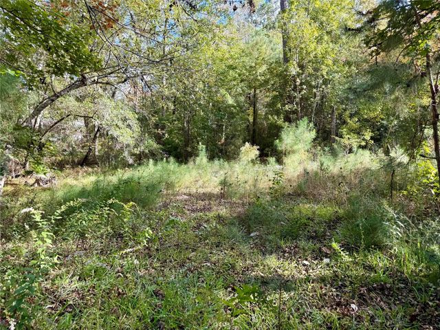 198 Bear Track Trail, Livingston, TX 77351
