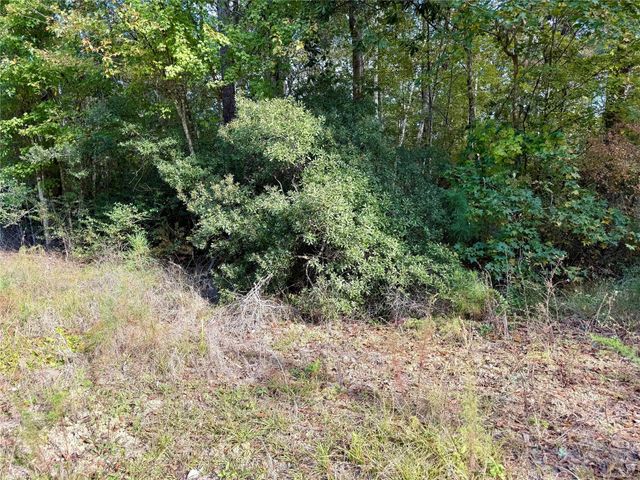 198 Bear Track Trail, Livingston, TX 77351