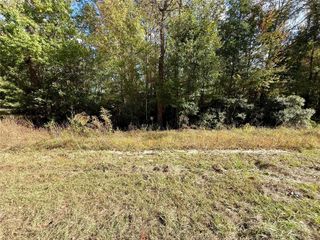 198 Bear Track Trail, Livingston, TX 77351