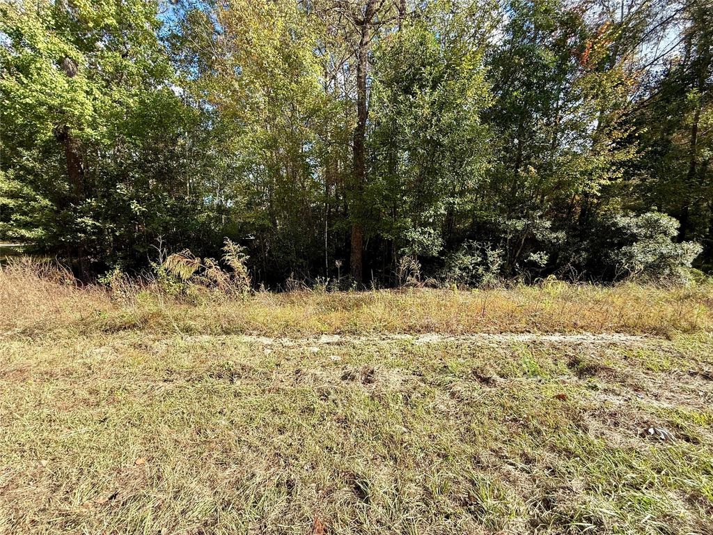 198 Bear Track Trail, Livingston, TX 77351