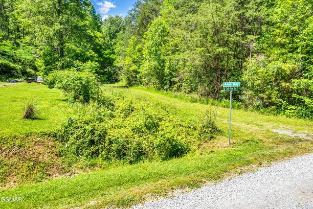 lot 5 Amis Way, Sevierville, TN 37876