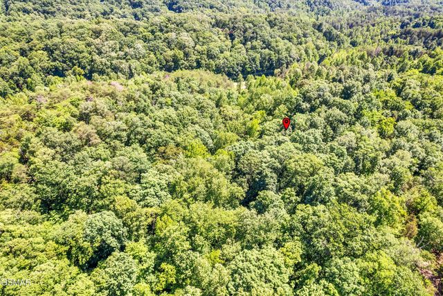 lot 5 Amis Way, Sevierville, TN 37876