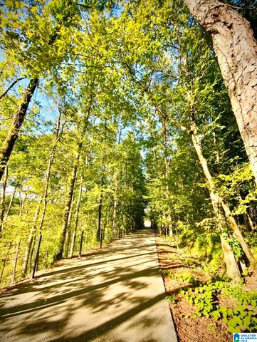 4219 OLD CAHABA PARKWAY, Helena, AL 35080