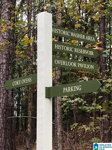 4219 OLD CAHABA PARKWAY, Helena, AL 35080