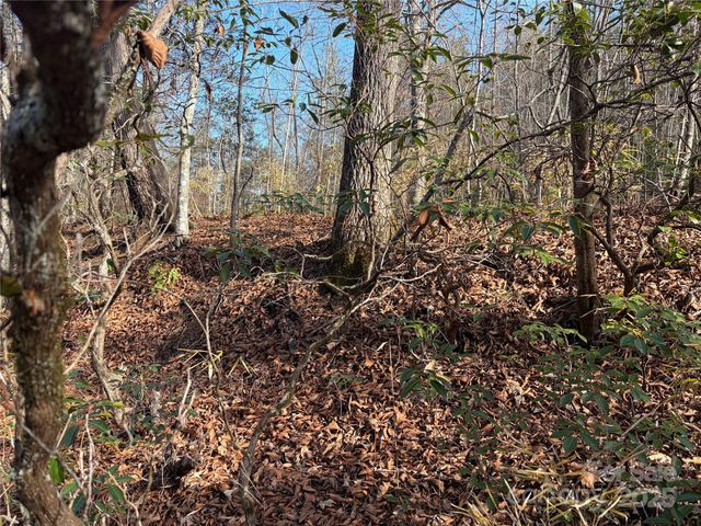 Lot 49 Harmony Grove Road 49, Nebo, NC 28761