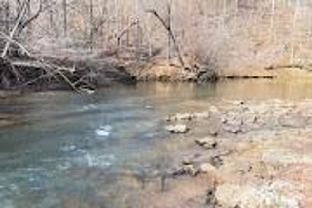 Lot 49 Harmony Grove Road 49, Nebo, NC 28761